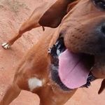 Daniel Wickham - @daniel.wickham.923 - Instagram