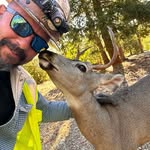 Daniel Wicklander Jr. - @wicklanderjr.daniel - Instagram