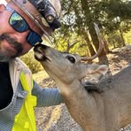 Daniel Wicklander Jr. - Facebook