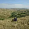 Daniel Widjaja - @danielwidjaja20 - TikTok