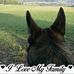 Daniel Widmer - Facebook