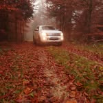 Dani Wiedmann - @daniel.wiedmann33 - Instagram