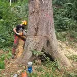 Daniel Wiedmann - @daniel_wiedmann1258 - Instagram