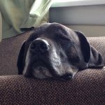 Daniel Wiegand - @dwiegand - Instagram