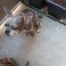 Daniel Wiegand - Facebook