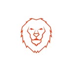 daniel wiese - @lionplanejamento - Instagram