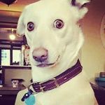 Daniel Wieser - @w_daniel2002 - Instagram