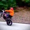 Daniel Wieser - @danielwieser5 - TikTok