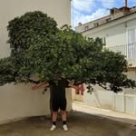 Daniel Wigger - @dan_the_man116 - Instagram
