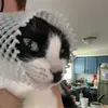 danielwikstromdwi - @danielwikstromdwi - TikTok