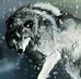 Daniel Wilczewski - Facebook