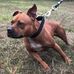 Daniel Wilds - Facebook