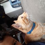 Daniel Wilfrido Gonzalez Burgos - @danielwilfridogonzalezburgos - Instagram