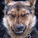 Daniel Wilhite - @wilhitedaniel - Instagram