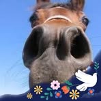 Daniel Willadsen - Facebook