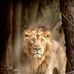 Daniel Willey - Facebook