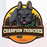Daniel Williamson - @championbulldogsoftexas - Instagram