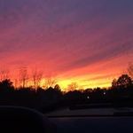 Daniel Woessner - @danielwoessner - Instagram