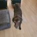 Danny Woodley - Facebook