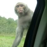 daniel wootton - @cheekymonkey212 - Instagram