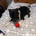 Daniel Wootton - Facebook