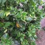Daniel wordsworth - @robert_whittaker900 - Instagram
