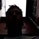@daniel_wright - Instagram