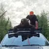 Daniel Wulff655 - @danielwulff655 - TikTok
