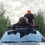 Daniel Wulff - @daniel_wulff_ - Instagram