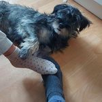 Daniel Wunderlich - @_der_leinad_ - Instagram