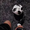 Daniel_wylie - @d.a.n.i.e.l.123 - TikTok