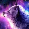 Wynter Nowatchik449 - @wynterdaniels - TikTok