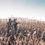 Daniel Wyss - @vollmond_jaeger - Instagram