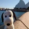 Dani★ - @daniela.yamaguchi - TikTok