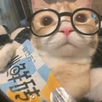 Daniel Yang - Facebook