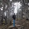 Daniel Yang - @danielxyang - TikTok