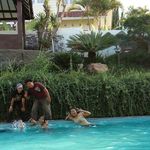 Daniel Yoppie - @danielyoppie - Instagram
