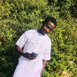 Daniel Youn - @daniel.petiafo.712 - Instagram