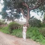 Dani Yow - Facebook