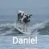 Daniel Zamarripa - @danielzamarripa6 - TikTok
