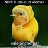 Daniele zappa - @danielezappa46 - TikTok