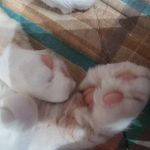 Daniela Zollinger - @daniela.zollinger.1 - Instagram