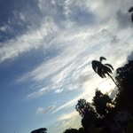 daniel zorrilla - @danielzorrilla12 - Instagram