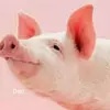 danielzytka7 - @danielzytka7 - TikTok