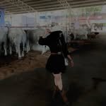 Daniela Velasco Aceves - @daniela_velasco8 - Instagram