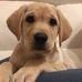 Daniela Acquaviva - Facebook