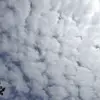 daniella.adler99 - @daniella.adler99 - TikTok