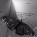 Daniela Aedo - Facebook