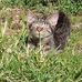 Daniela Aedo - Facebook