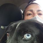 Daniela Alegre - @14346animal - Instagram